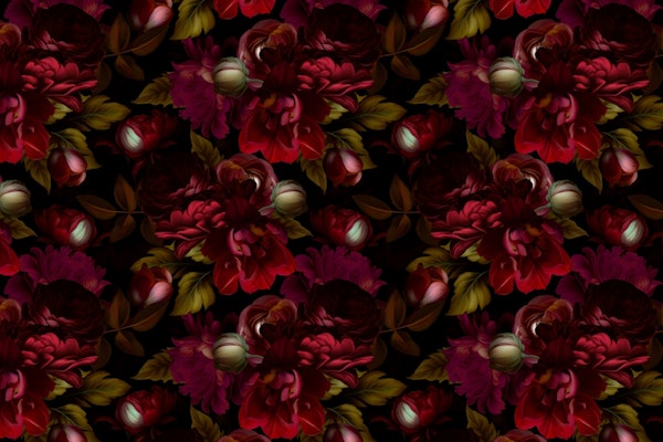 Opulent Burgundy Night Roses