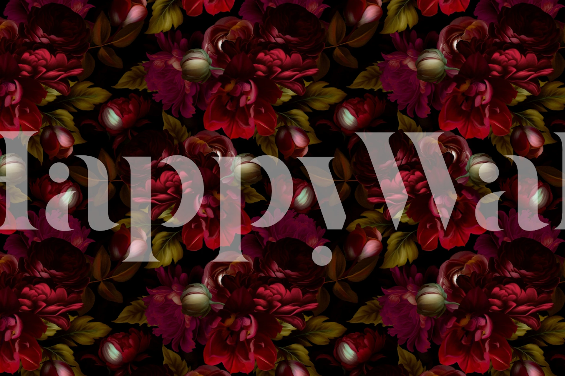 Rich burgundy roses on a dark background wall mural