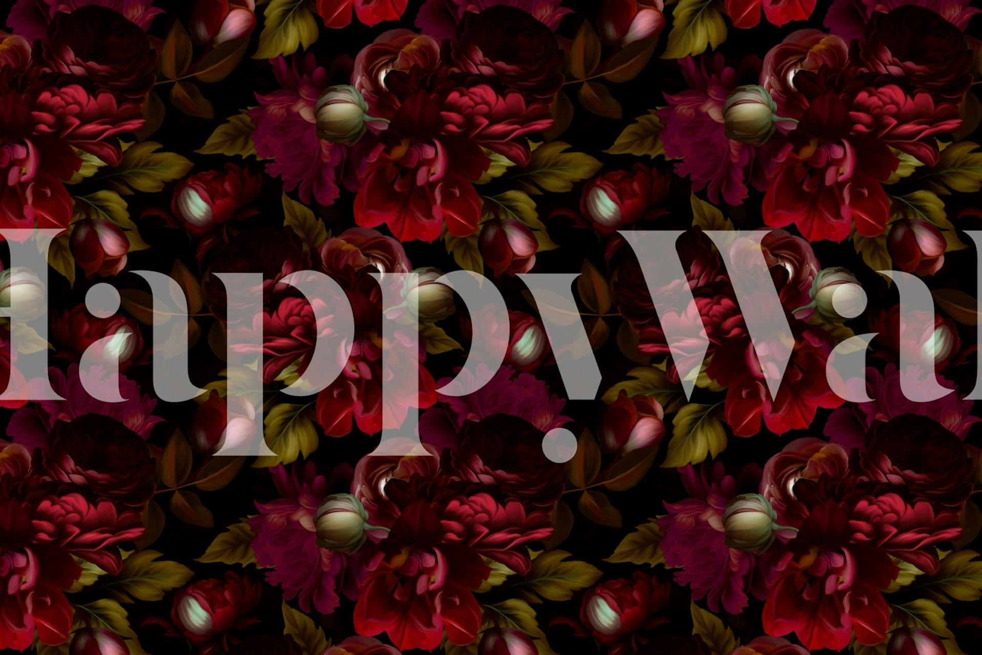 Opulent Burgundy Night Roses σε ένα σκοτεινό φόντο τοιχογραφία