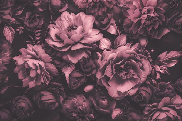 Opulent Baroque Flowers Moody Matte Pink
