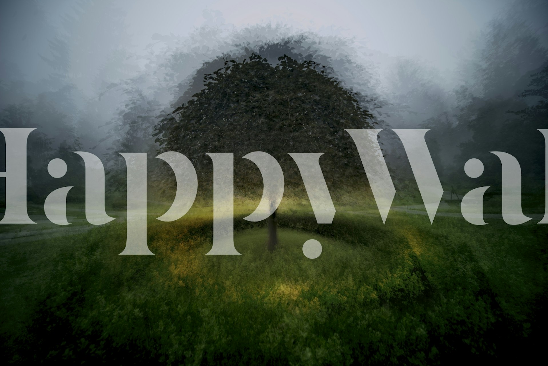 Eden place tapetdesign i et rum