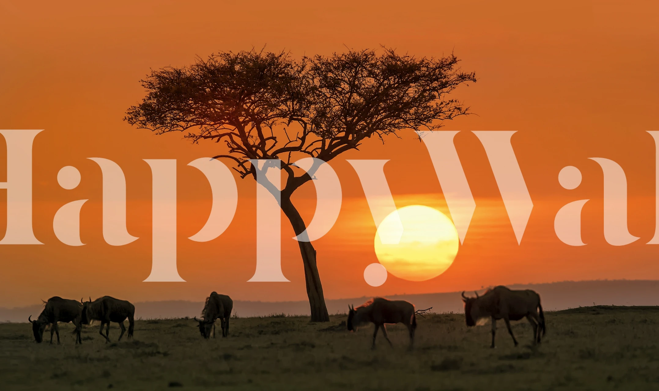Silhouette of a tree and grazing animals at sunset. Orange and yellow colors. Nature wallpaper.