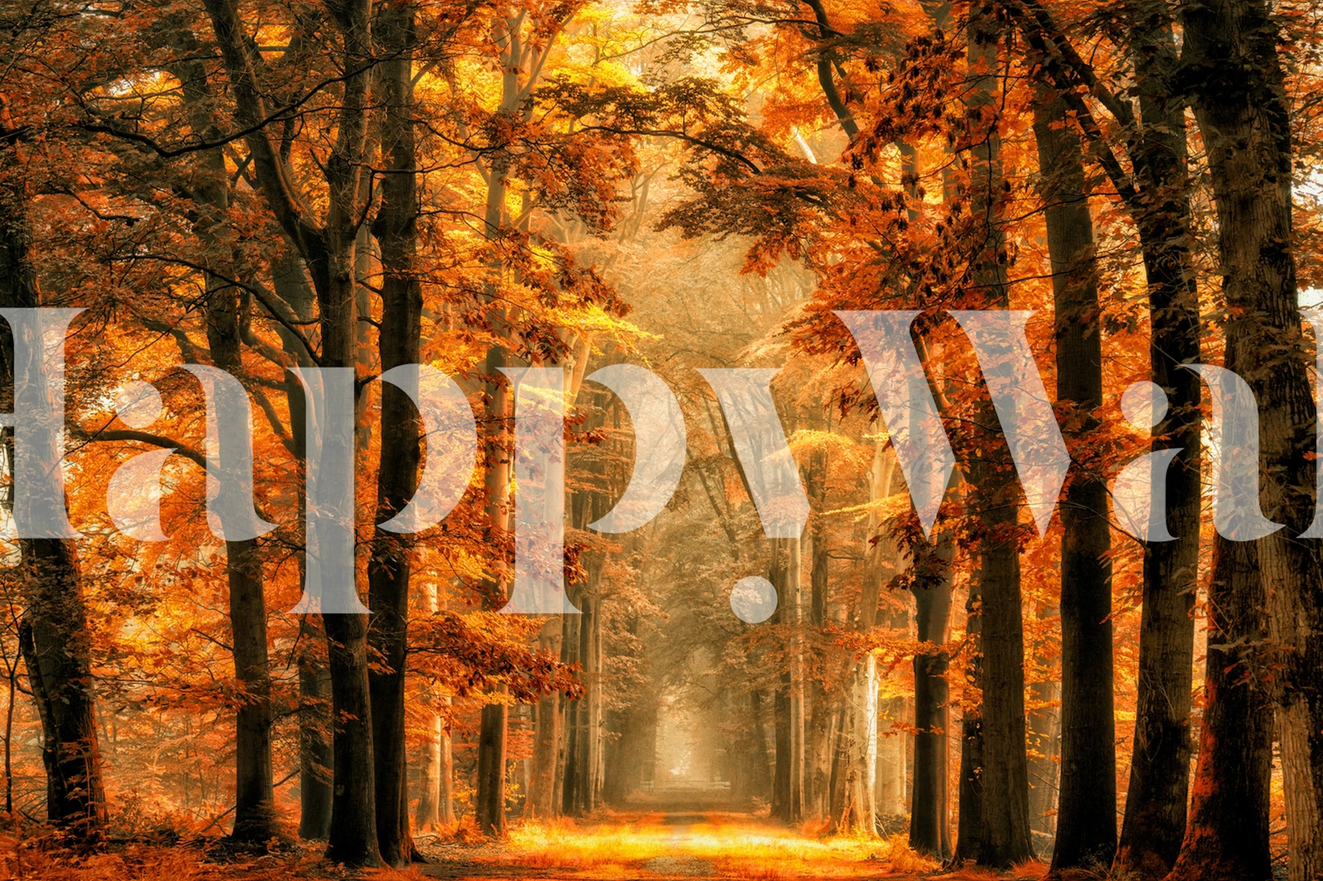 Autumn forest path with golden orange foliage wallpaper