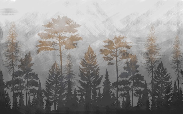 Misty concrete forest