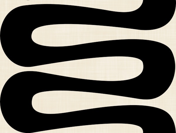 Abstract Curve Stripe Shape Black and Cream