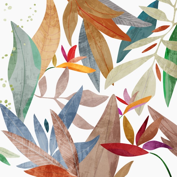 Tropical Landscape - White Light