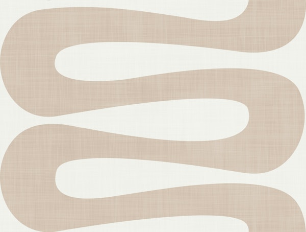 Abstract Curve Stripe Shape Latte Brown White