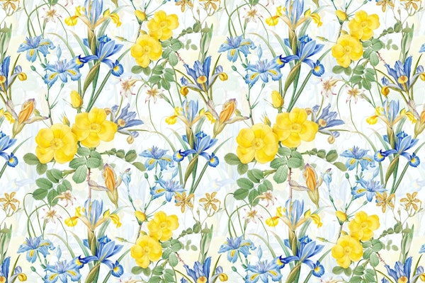 Iris And Rose Summer Garden