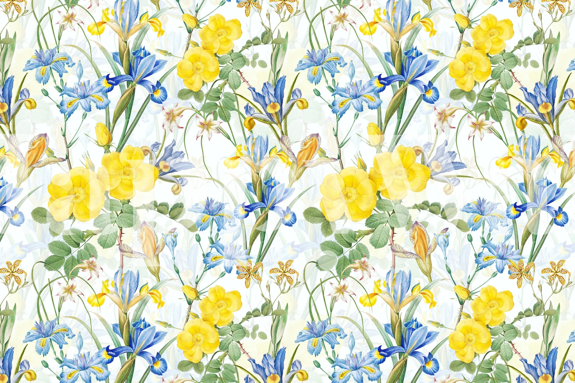 Iris och Rose Summer Garden tapetdesign