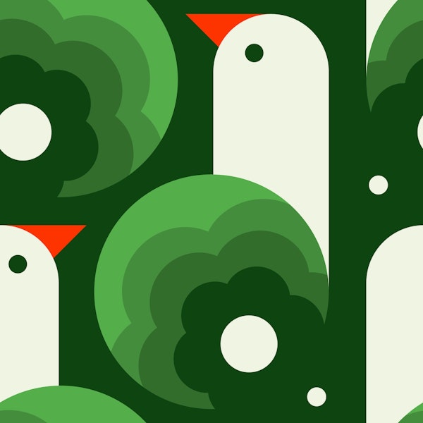 Playful birds, green (2758 B)