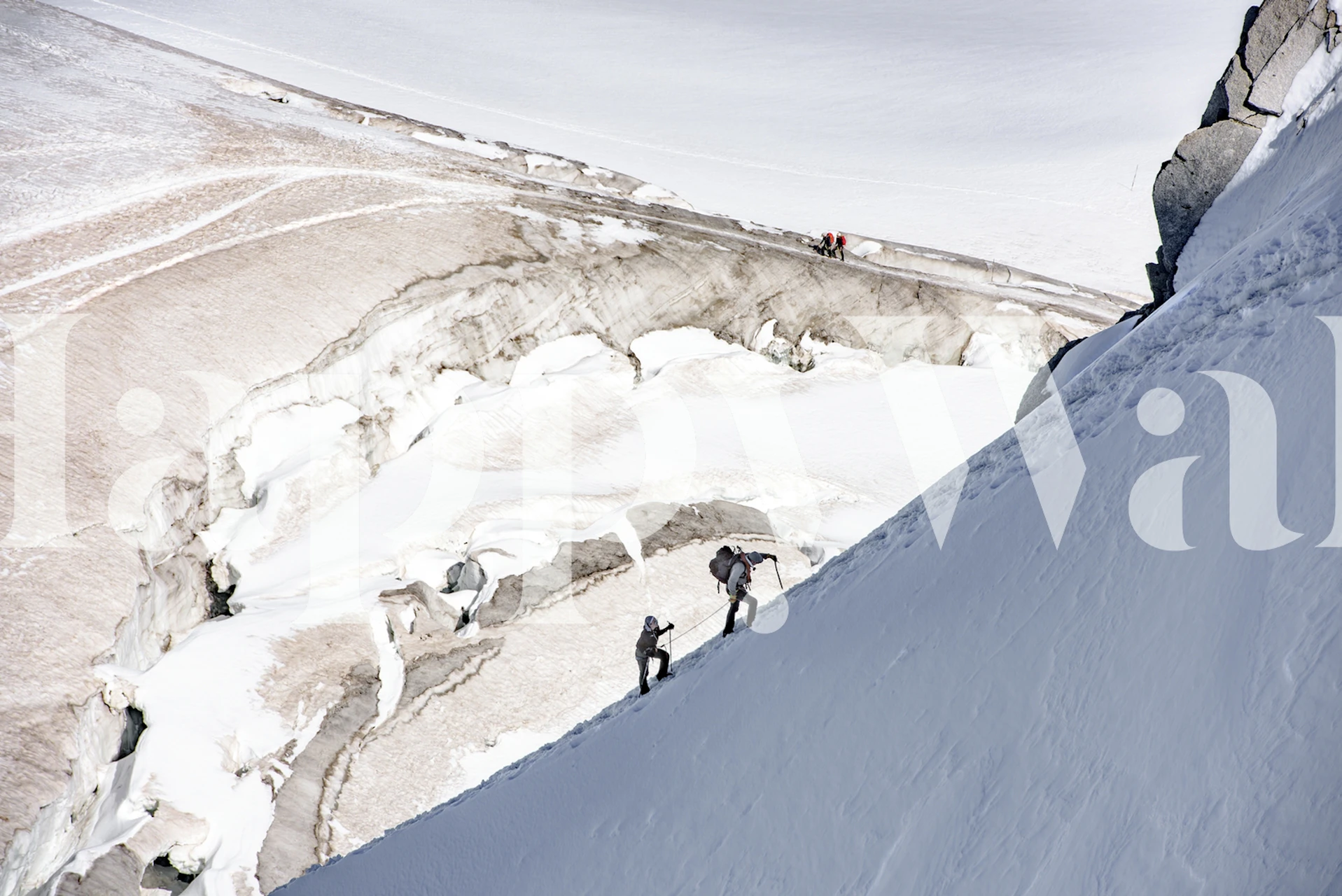 Adventure-themed wallpaper in a modern room