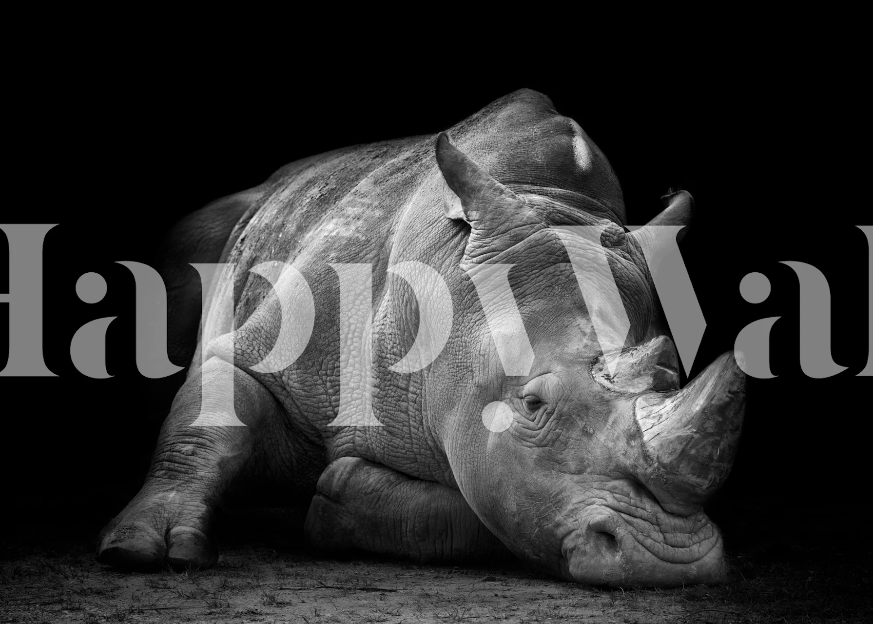 Rhinoceros Tapetdesign in dunkler Umgebung