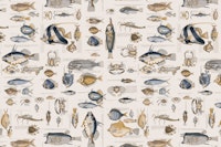 Fish And Sea Life Illustration Blue Brown ταπετσαρία