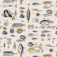 Fish And Sea Life Illustration Blue Brown wallpaper