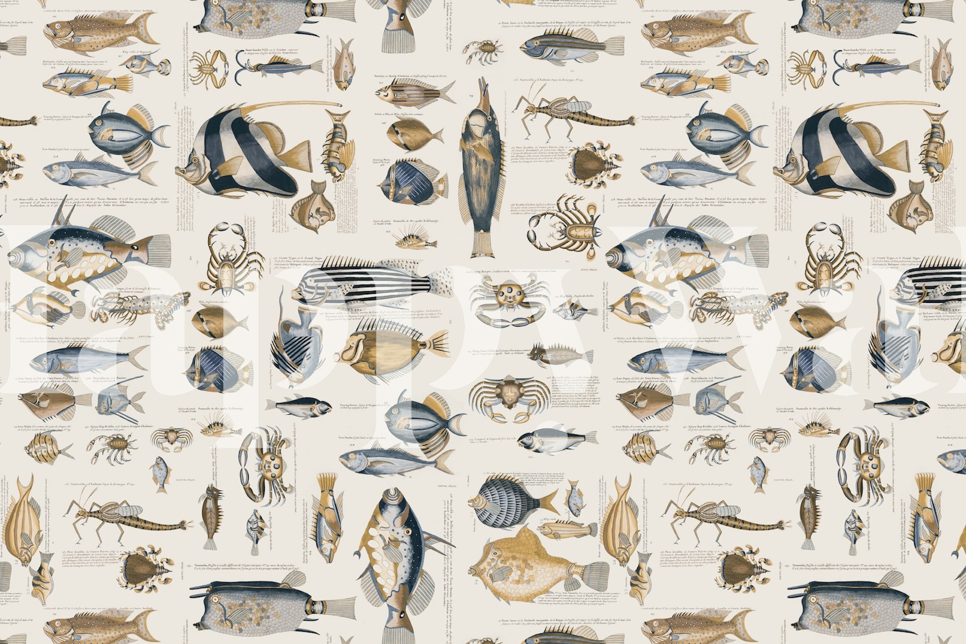 Fish and sea life wallpaper design v místnosti
