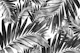Palm Leaves Pattern Love 6