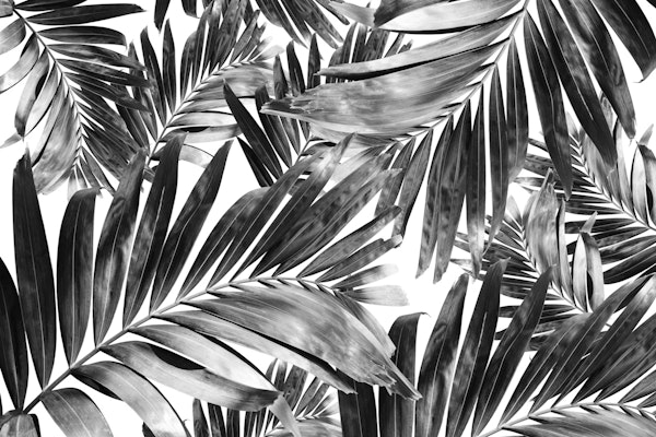 Palm Leaves Pattern Love 6
