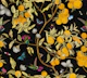 Hummingbirds, lemons and butterflies in black