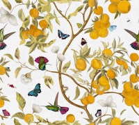 Hummingbirds, lemons and butterflies in white ταπετσαρία