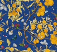 Hummingbirds, lemons and butterflies in blue tapeta
