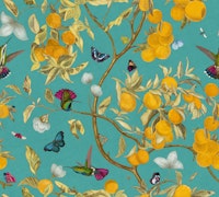 Hummingbirds, lemons and butterflies in aqua papiers peint
