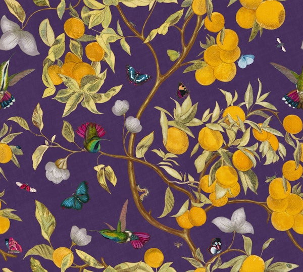 Hummingbirds, lemons and butterflies purple