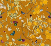 Hummingbirds, lemons and butterflies orange papiers peint