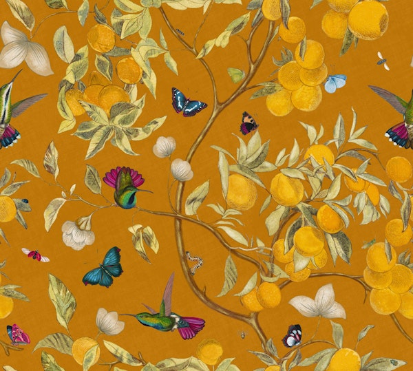 Hummingbirds, lemons and butterflies orange