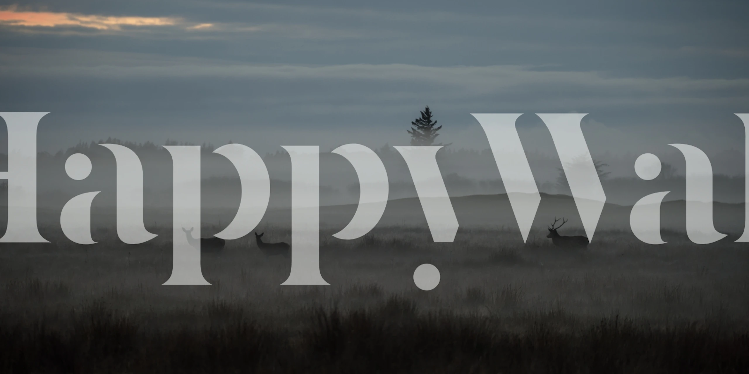 I Am The Boss Wallpaper In A Room