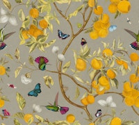 Hummingbirds, lemons and butterflies in taupe tapete