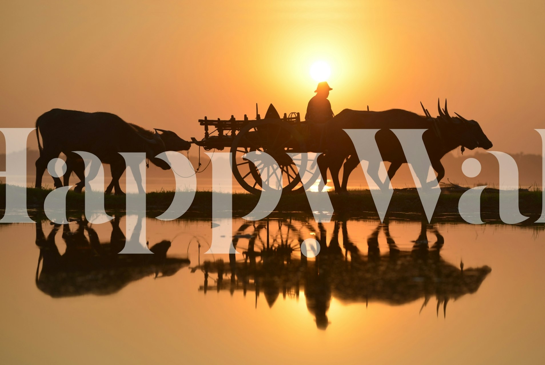 Photo murale d'une silhouette d'une personne avec une charrette à bœufs au coucher du soleil