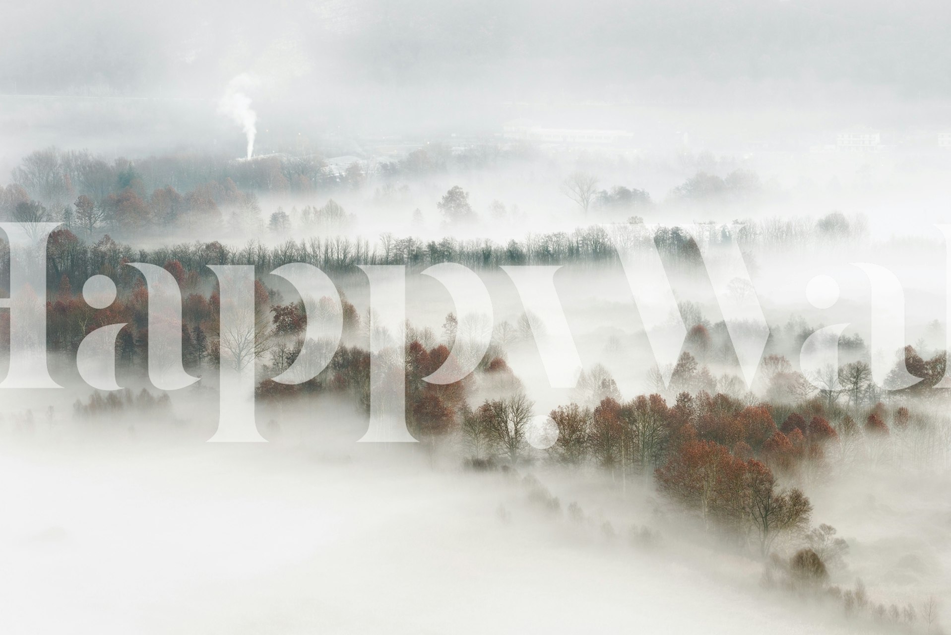 Misty landscape with trees and clouds in soft colors wallpaper