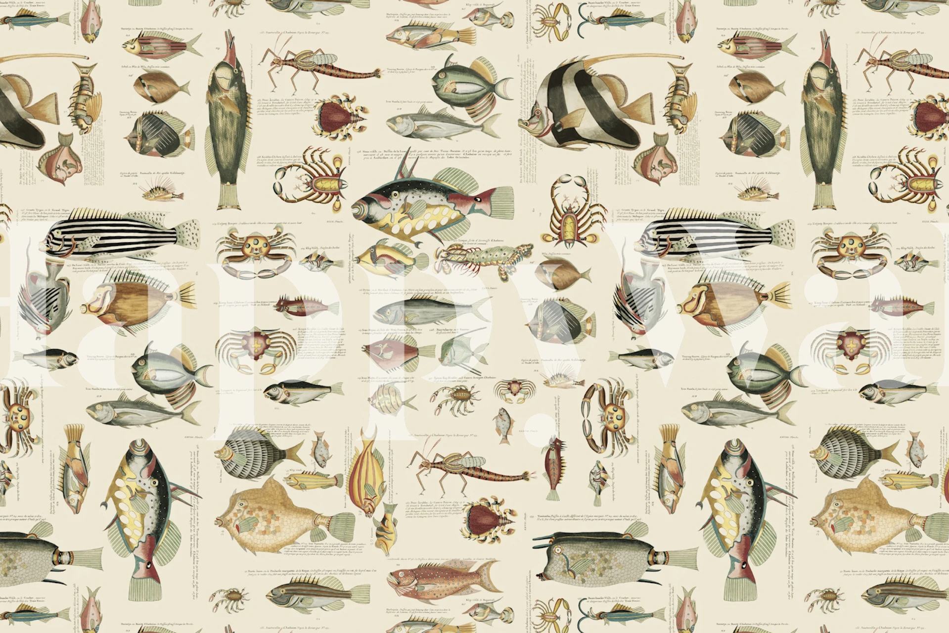 Fish And Sea Life Illustration tapetti huoneessa