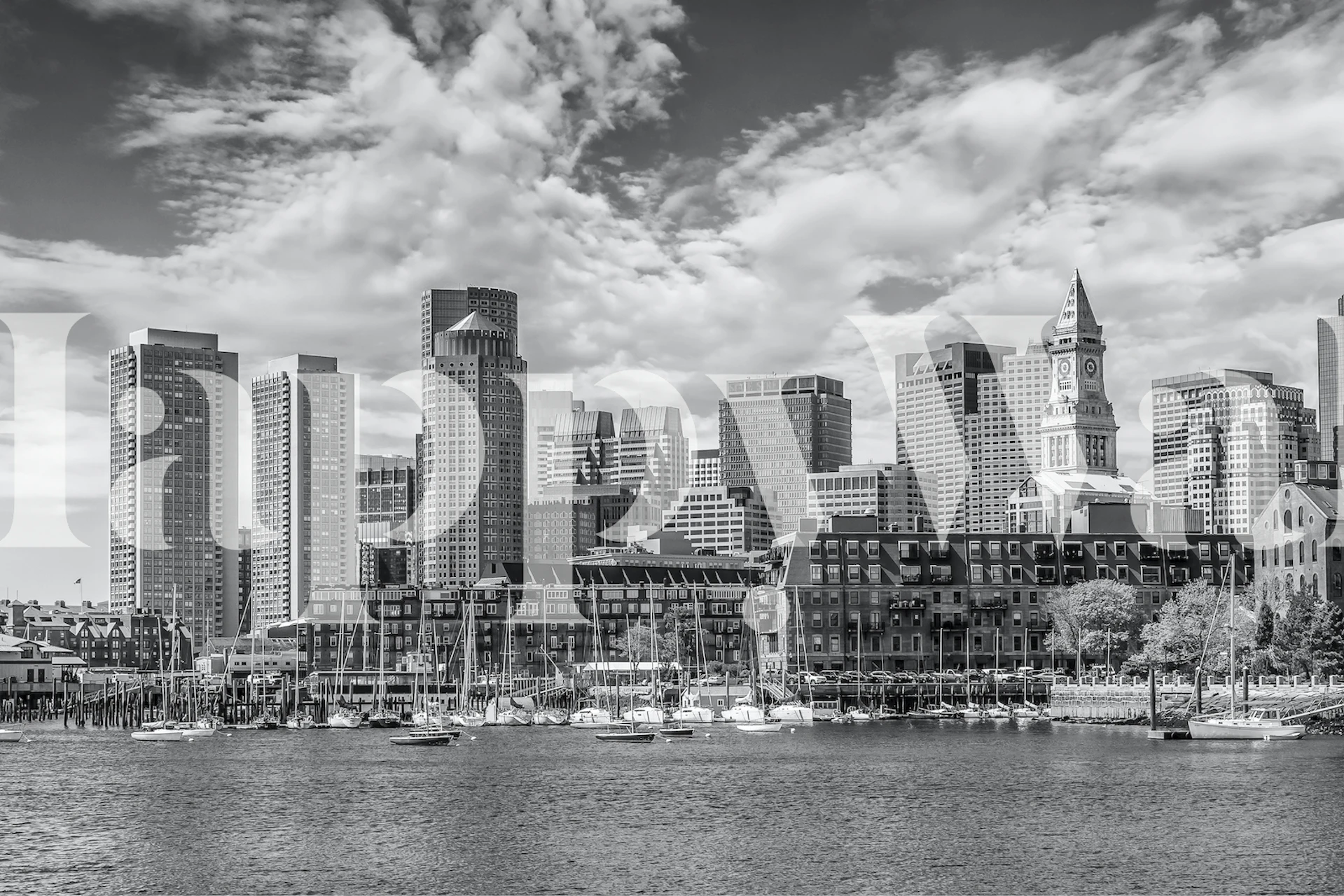 Monochrome Skyline Tapete mit Boston