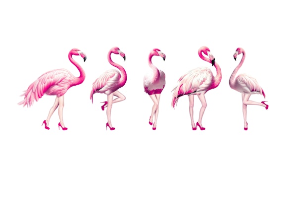 Cheeky Flamingos in magenta