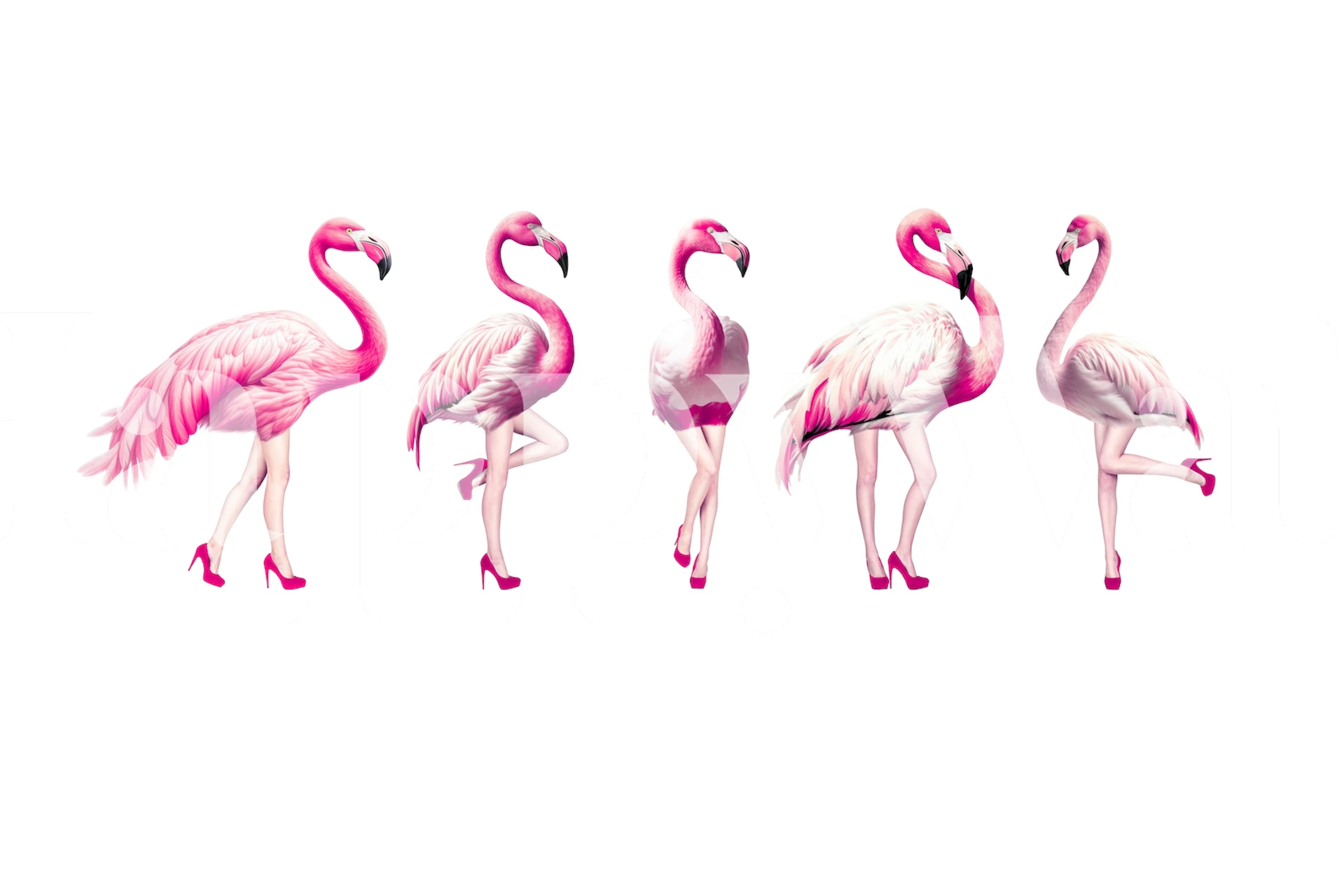 Cheeky flamingos wallpaper in a stylish room
