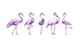 Cheeky Flamingos in purple