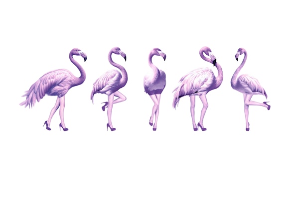 Cheeky Flamingos in purple