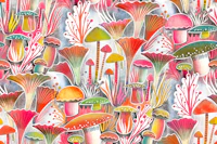 magical mushroom forest wallpaper