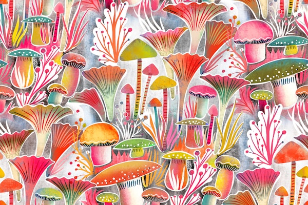 magical mushroom forest
