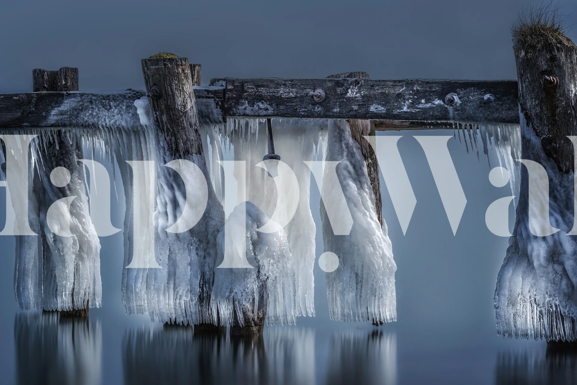 Frozen Solid wallpaper design in a room