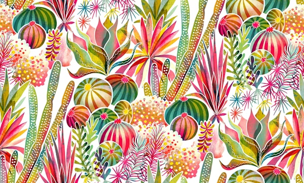 colorful succulent garden