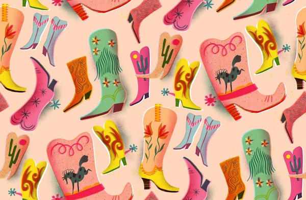 fancy boots collection