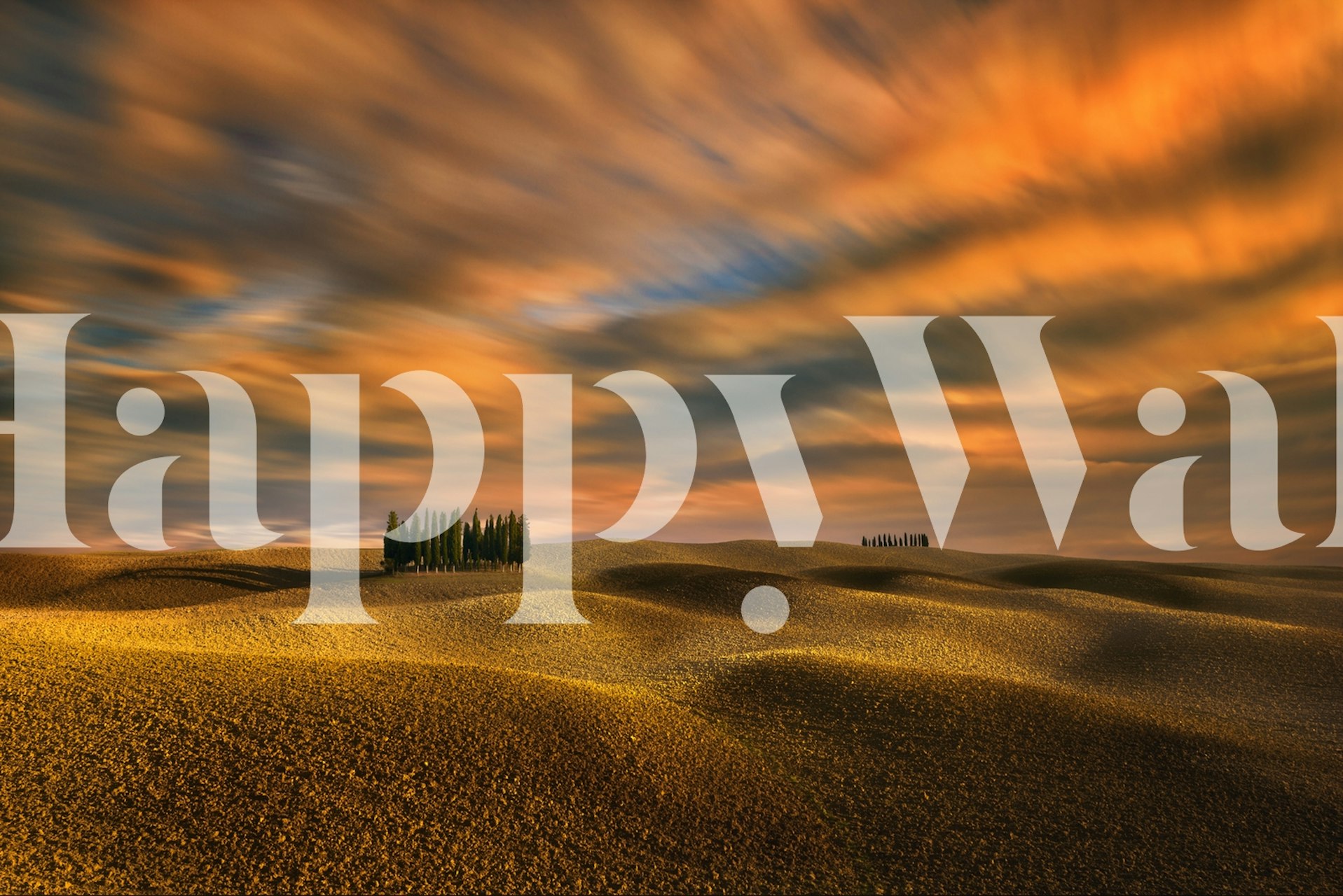 Cypress trees against an orange and blue sky landscape wallpaper