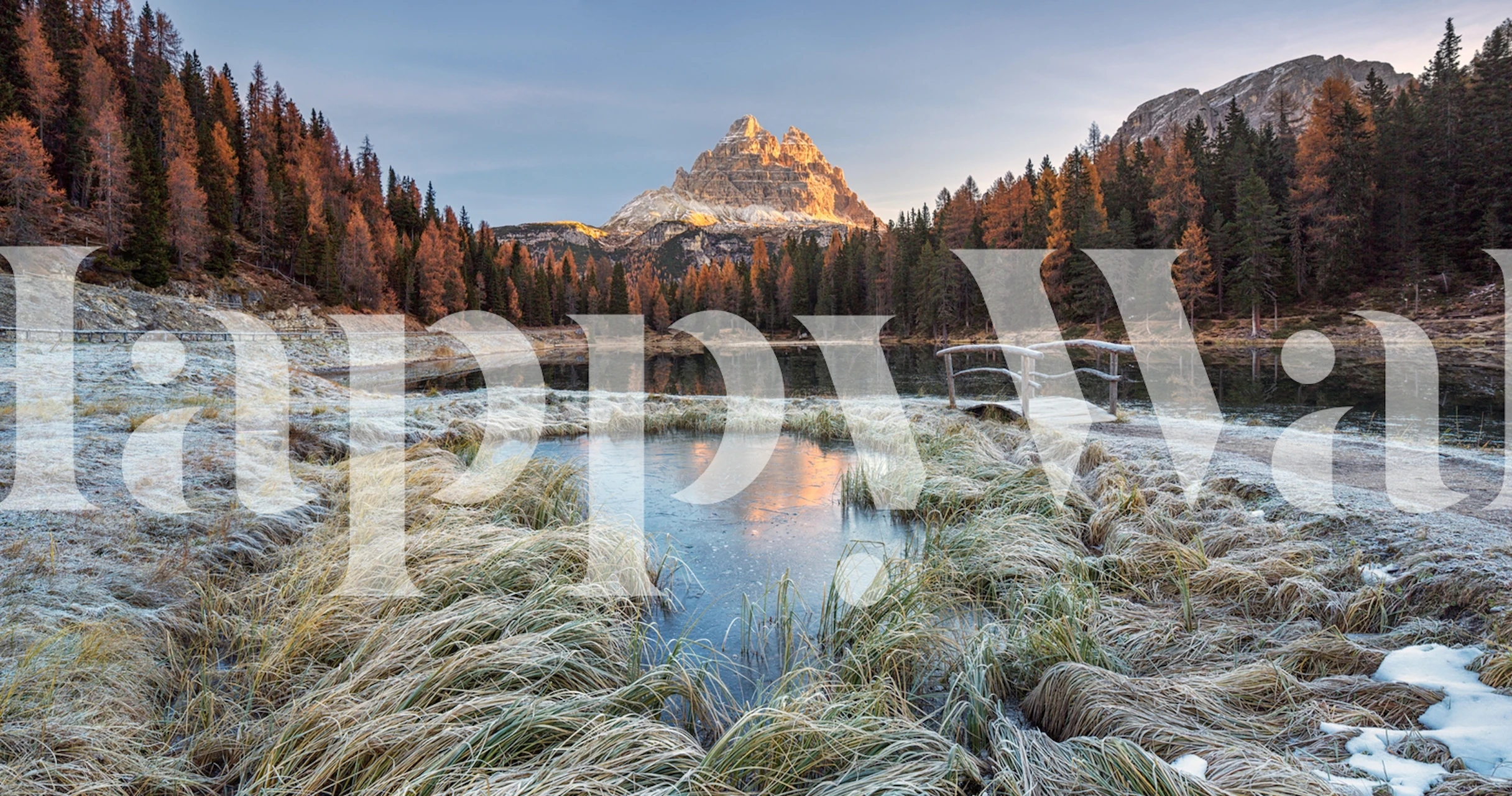 Autumn morning wallpaper in a room