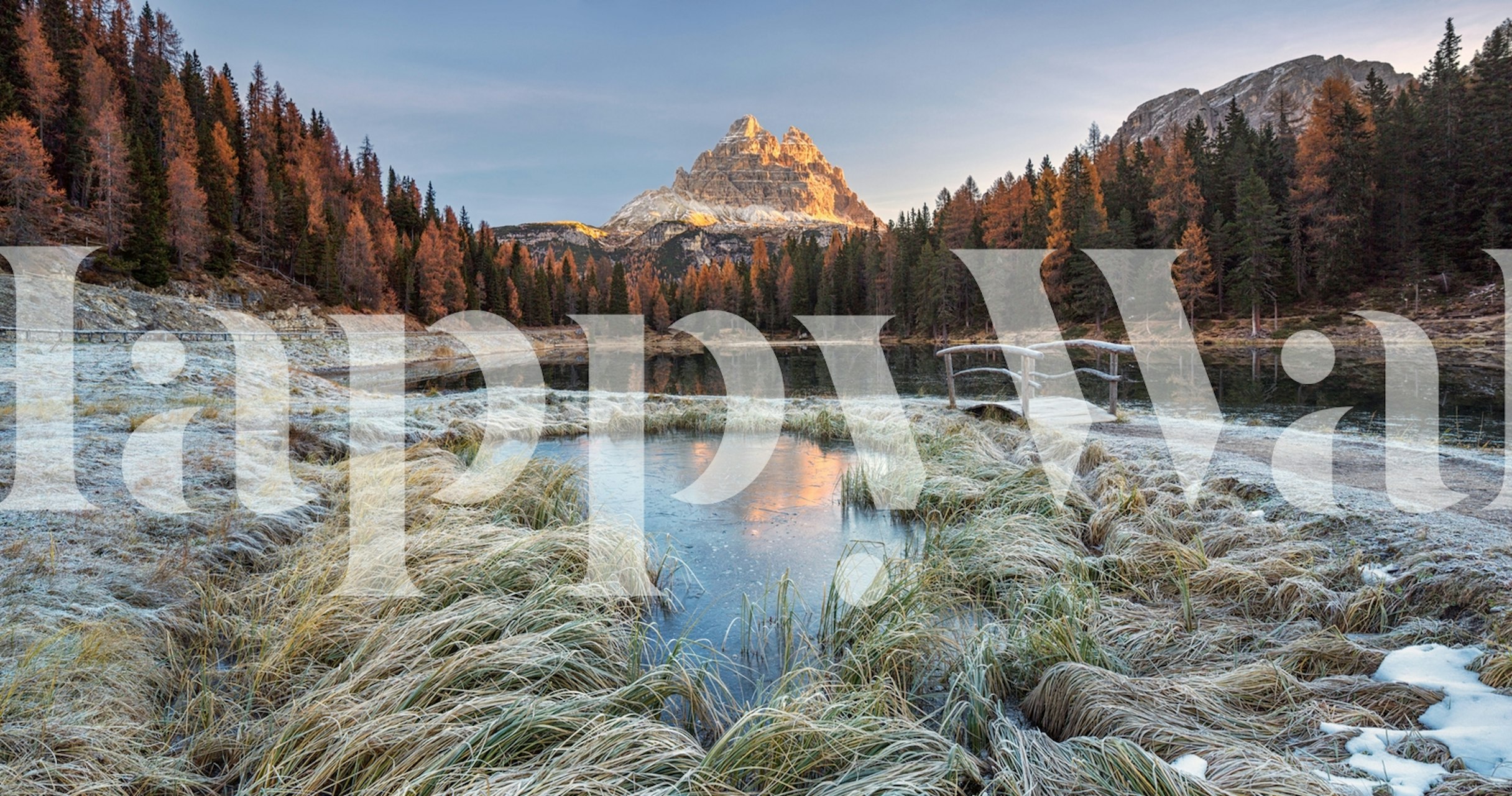 Autumn morning wallpaper in a room