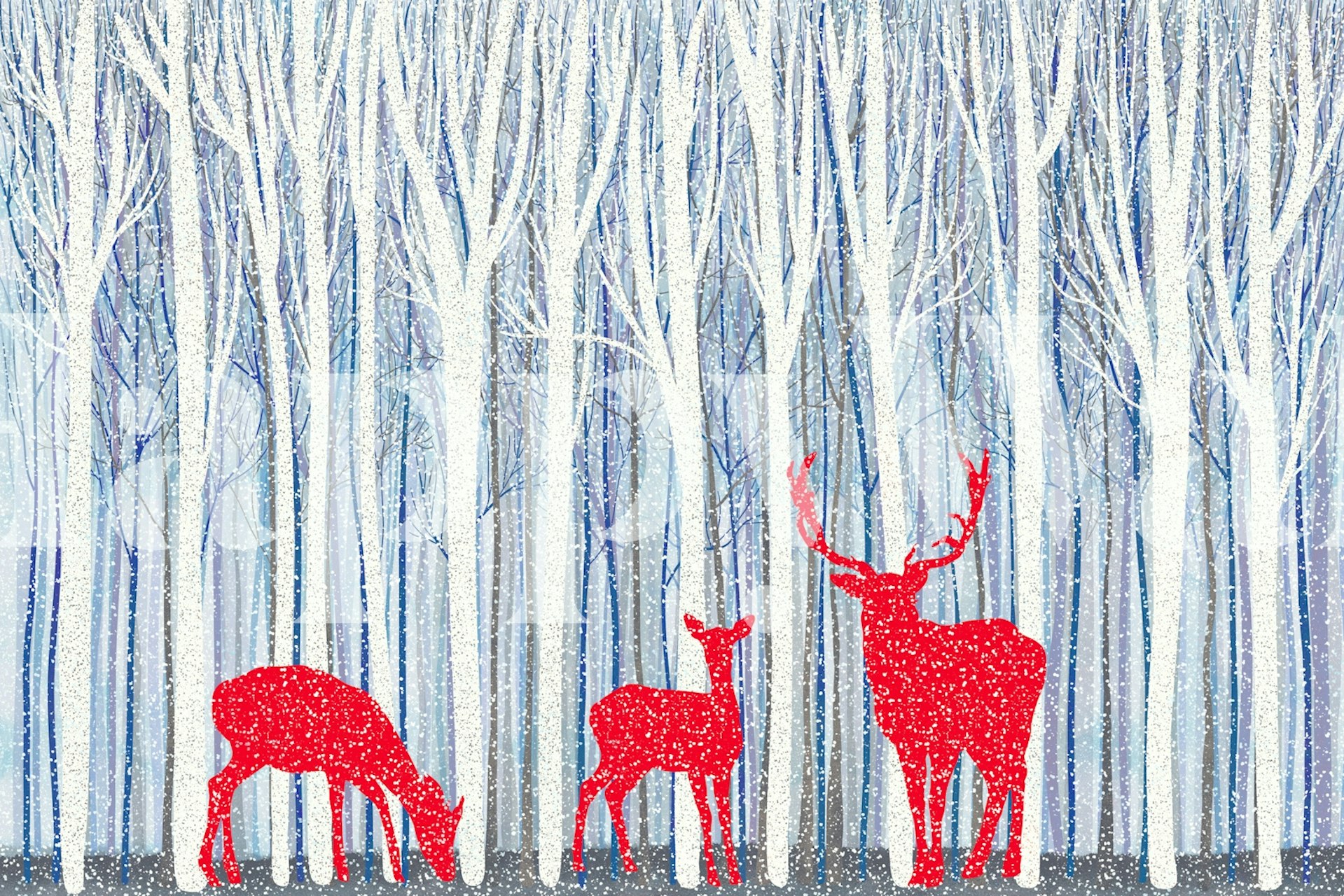Red deer grazing in a snowy forest with white trees wallpaper