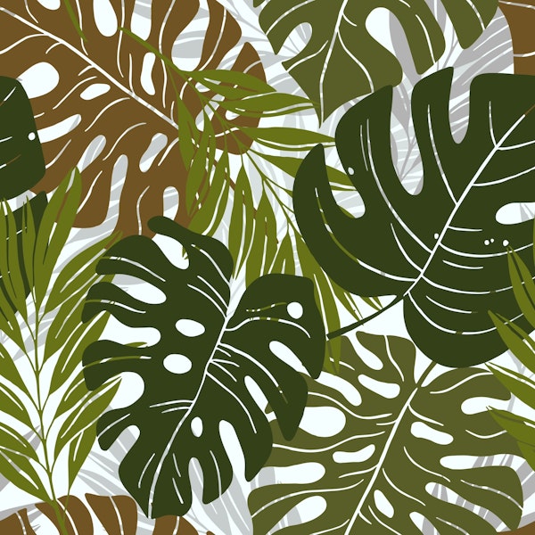 Forest tropical leaves
