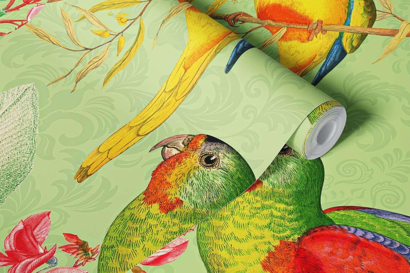 Vintage Tropical Birds Rainforest Jungle wallpaper roll