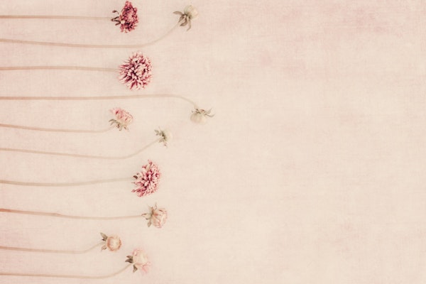 Flowers - Pretty in Pink Florals